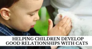 helping children develop good relationships with cats