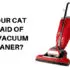 is your cat afraid of the vacuum cleaner