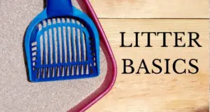 litter basics