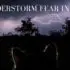thunderstorm fear in cats