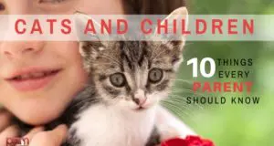 cats and children: 10 things every parent should know