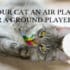 is your cat an air player or a ground player