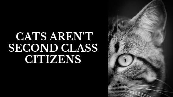 cats-aren-t-second-class-citizens