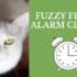 fuzzy feline alarm clocks