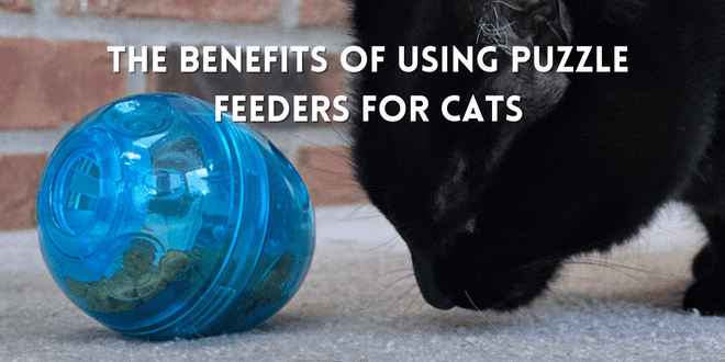 Doc & Phoebe's The Puzzle Feeder For Cats