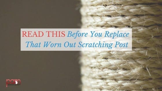cat scratch post replacement