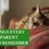 ten things every ct parent should remember