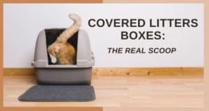 covered litter boxes