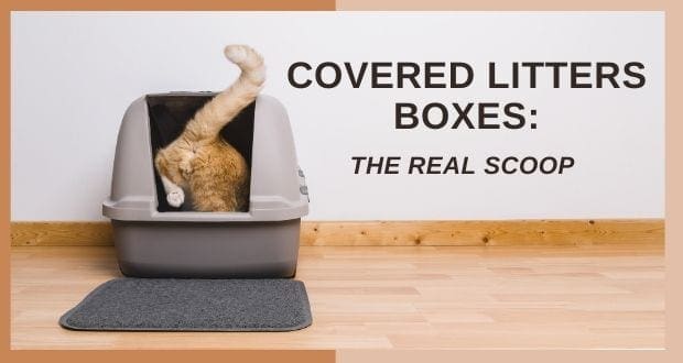 Before you choose a covered litter box be sure to read this