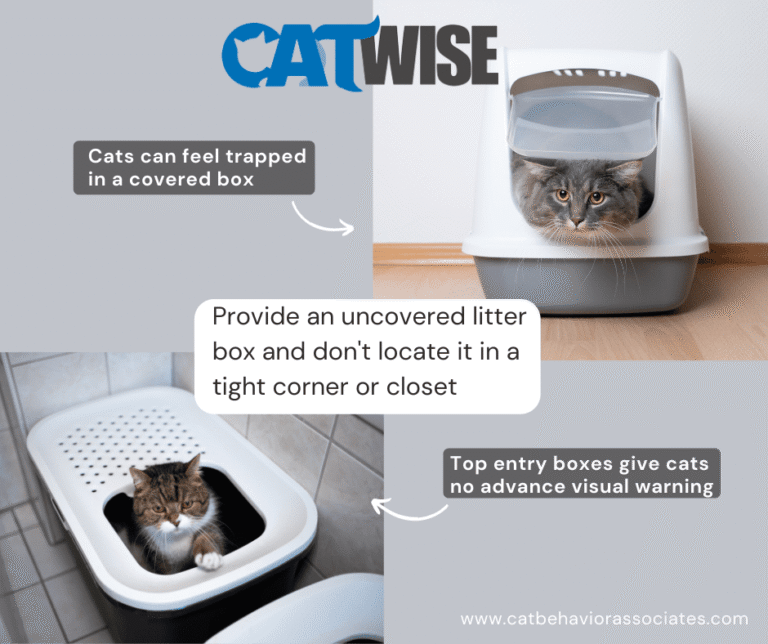 Before you choose a covered litter box, be sure to read this!