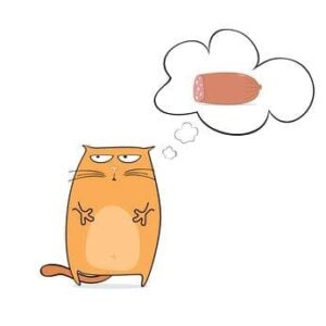 cartoon cat dreaming of sausage