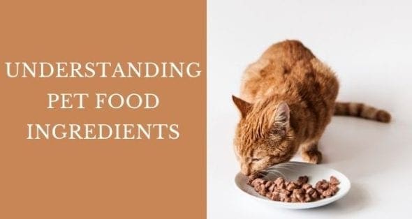 Breaking Down Pet Food Ingredients | AAFCO breakdown