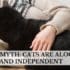 cat myth cats are aloof and independent