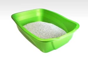 green litter box
