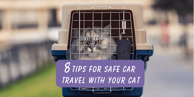 https://catbehaviorassociates.com/wp-content/uploads/2013/05/8-tips-for-safe-car-travel-with-your-cat.png