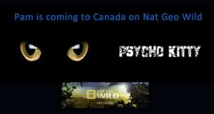 Psycho Kitty coming to Nat Geo Wild