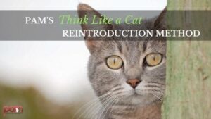 pam's think like a cat reintroduction method