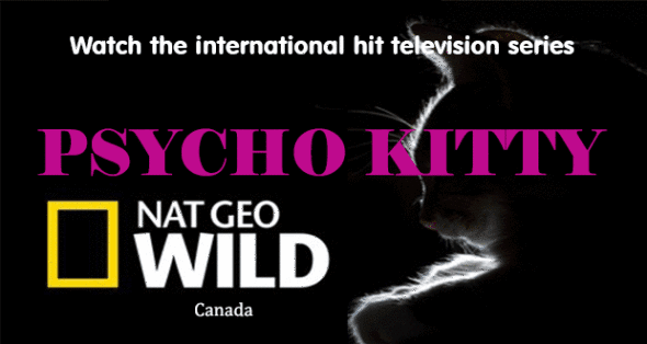 Nat Geo Wild logo for Psycho Kitty show