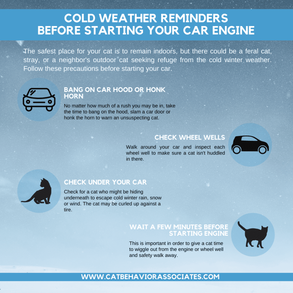 cold weather infographic - Cat Behavior Associates