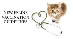 new feline vaccination guidelines