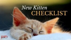 New Kitten Checklist