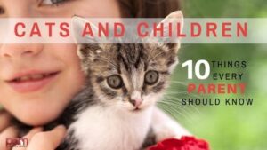 cats and children: 10 things every parent should know