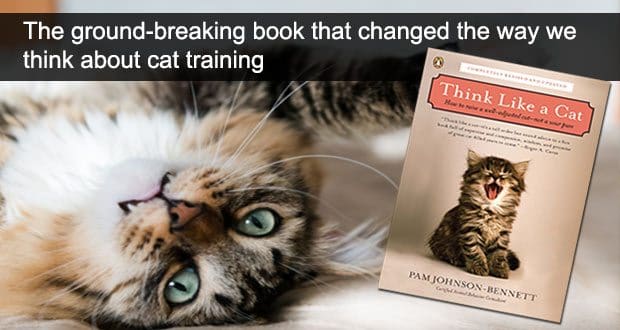cat with Think Like a Cat book