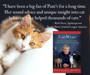 Quote from Beth Stern