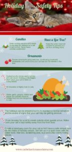holiday pet safety tips infographic