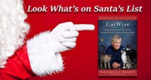 Santa Clause pointing to CatWise book