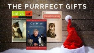 Pam's books with Santa hat