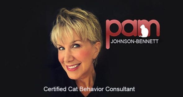 Pam Johnson-Bennett certified cat behavior consultant