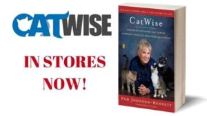 CatWise in stores now