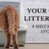 your cat's litter box: 8 mistakes to avoid