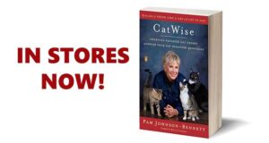 CatWise book standing