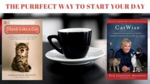 the purrfect way to start your day