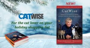 CatWise book with snow