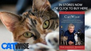 CatWise: in stores now