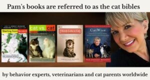 Pam Johnson-Bennett and four books