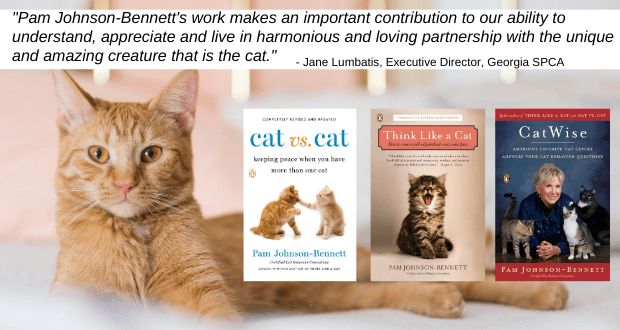 cat books by pam johnson-bennett and quote from Georgia SPCA