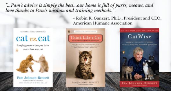 three books by Pam Johnson-Bennett and a quote from AHA