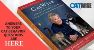 answers to your cat behavior questions