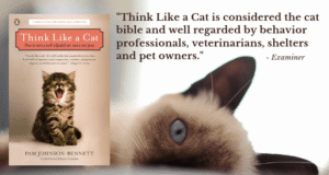 Quote about Think Like a Cat
