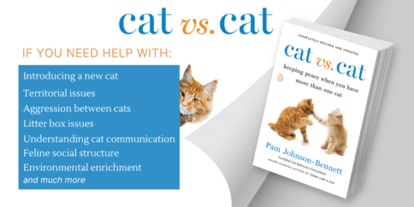 https://catbehaviorassociates.com/wp-content/uploads/2019/08/cat-vs-cat-blue-and-white-590x295.png