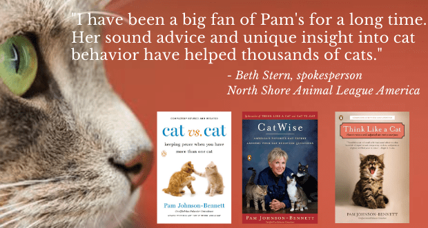 three books by author Pam Johnson-Bennett and a quote from Beth Stern