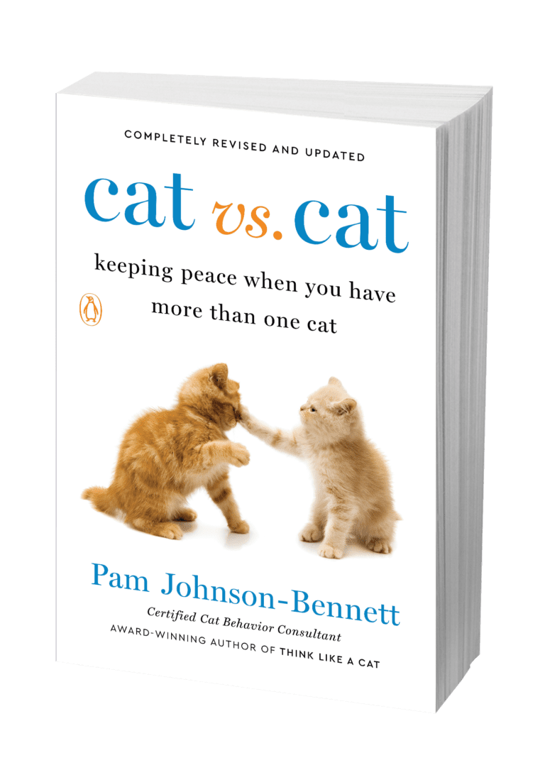 cat-behavior-what-to-do-when-your-cats-fight