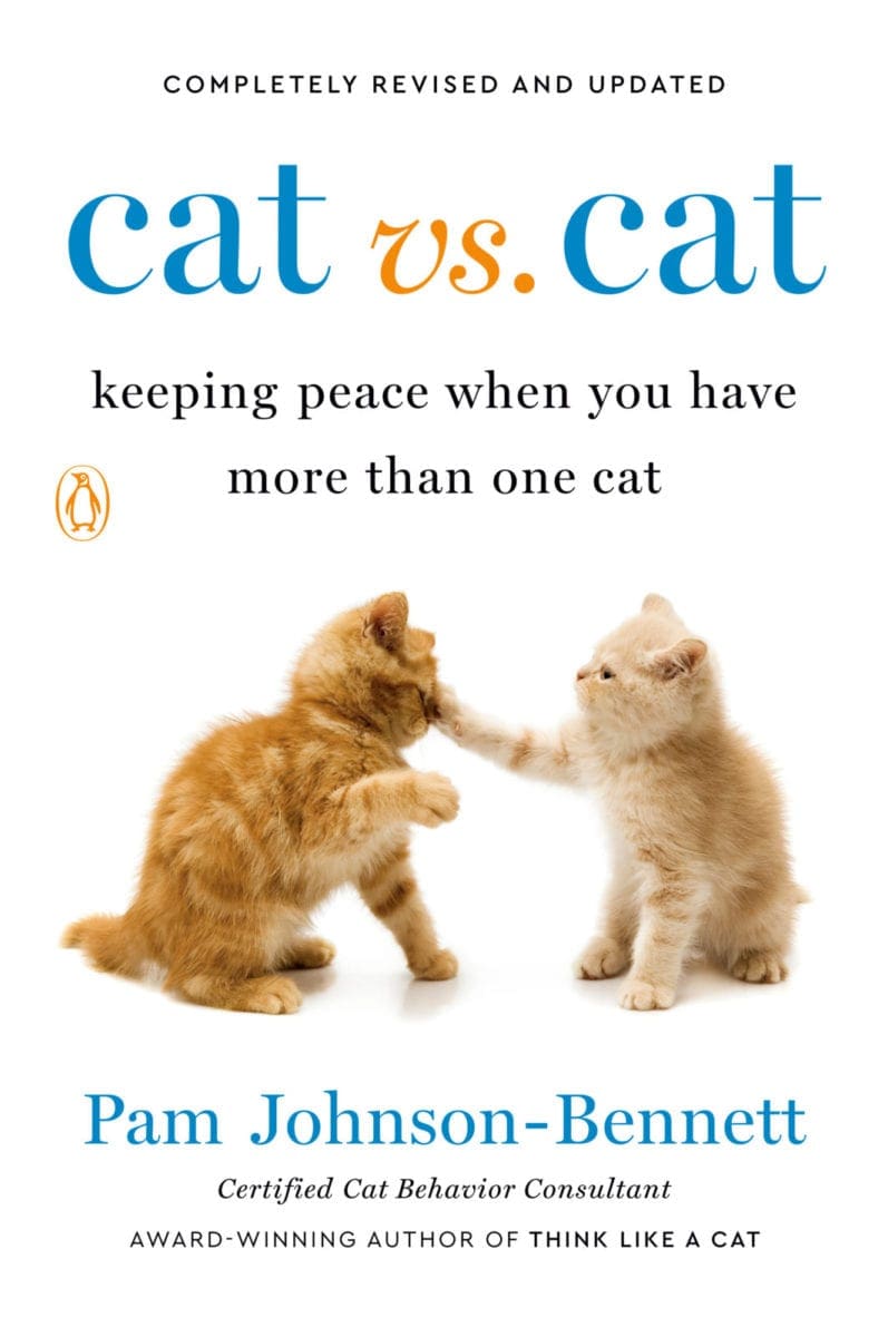 pam-johnson-bennett-s-newest-book-cat-vs-cat-2nd-edition