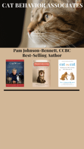 cat behavior associates instagram landing