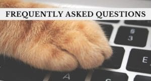 frequently asked questions