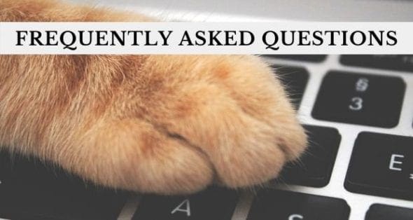 frequently asked questions